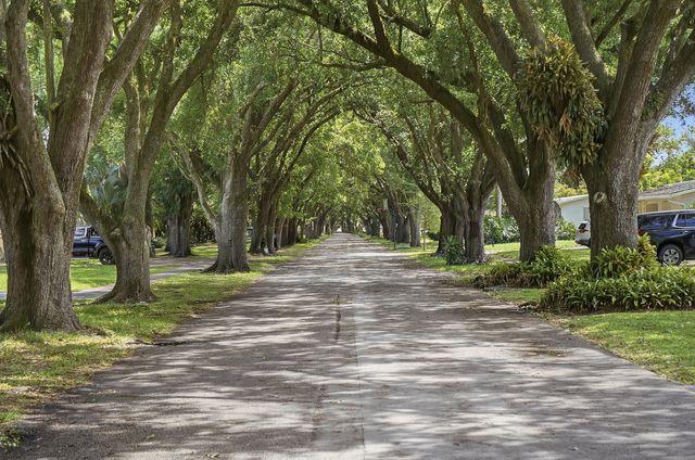 Tree-lined neighborhood in Plantation, Florida