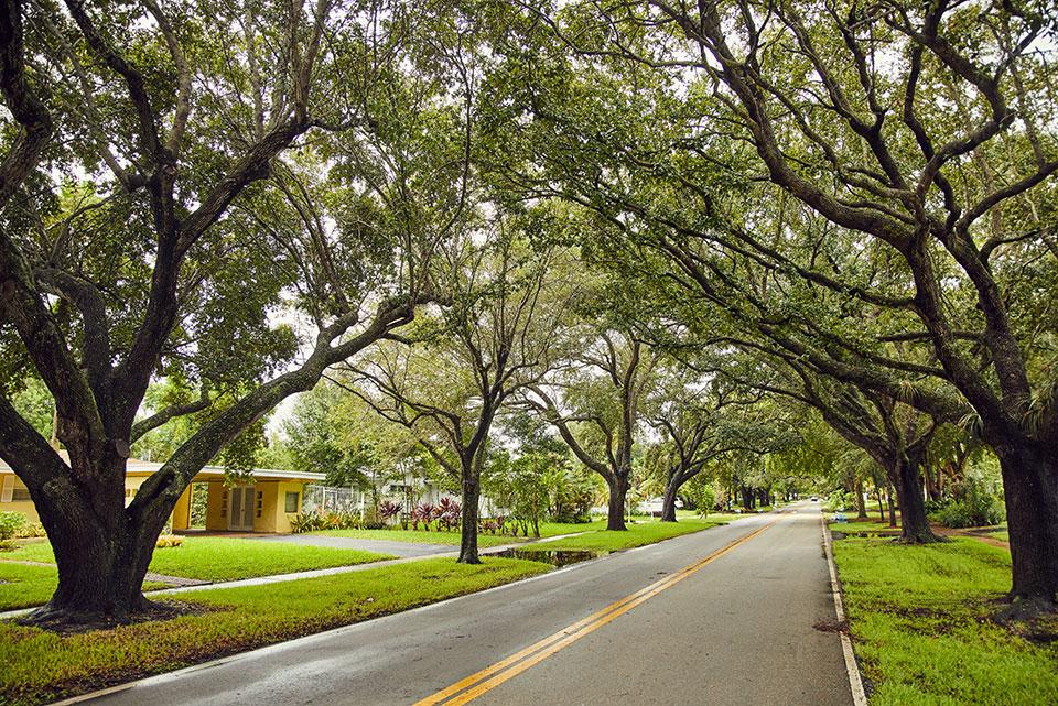 plantation neighborhood